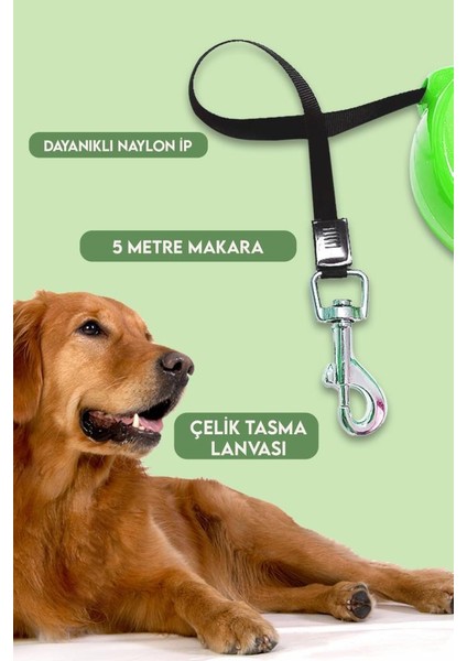 Makaralı Otomatik Köpek Tasması 5 Metre 1 Adet Yeşil