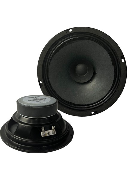 Ayn-6 Full Kağıt 100 Watt 8 Ohm 16 cm 6 Inç Hoparlör (Adet)