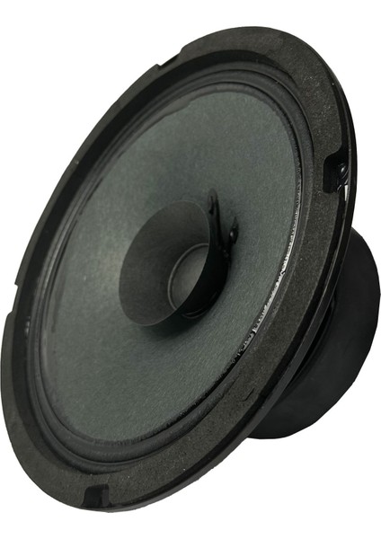 Ayn-6 Full Kağıt 100 Watt 8 Ohm 16 cm 6 Inç Hoparlör (Adet) fırsatları