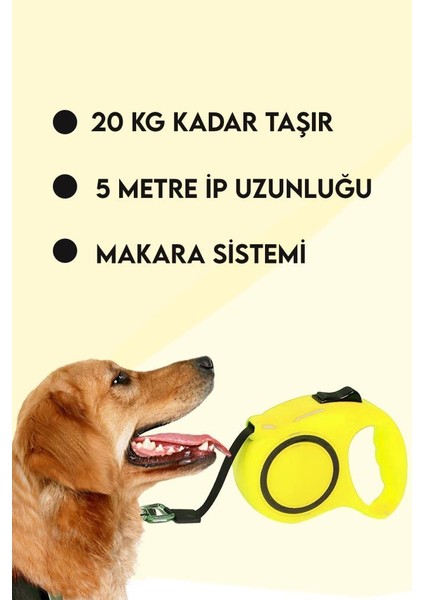 Makaralı Otomatik Köpek Tasması 5 Metre 1 Adet Sarı