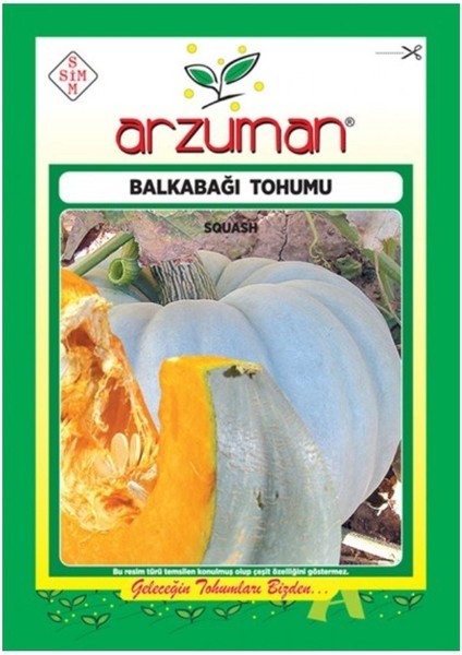 Arıcan 97 Balkabağı Tohumu