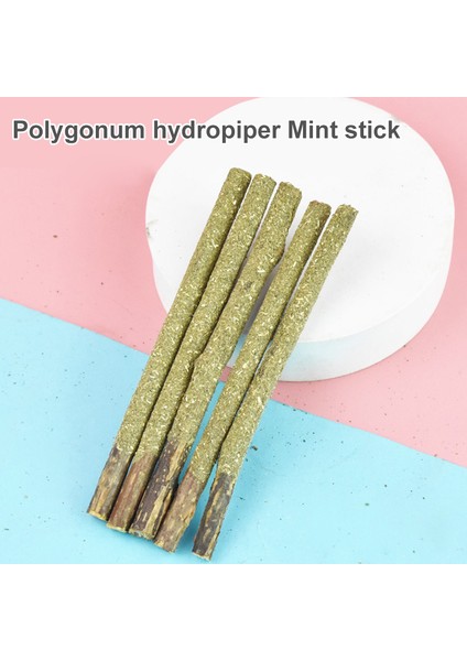 Matatabi Cat Mint Stick 6'lı 12CM Kedi Otlu fırsatları