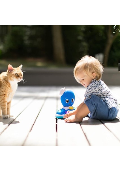 Baby Einstein Ahtapot Orkestrası