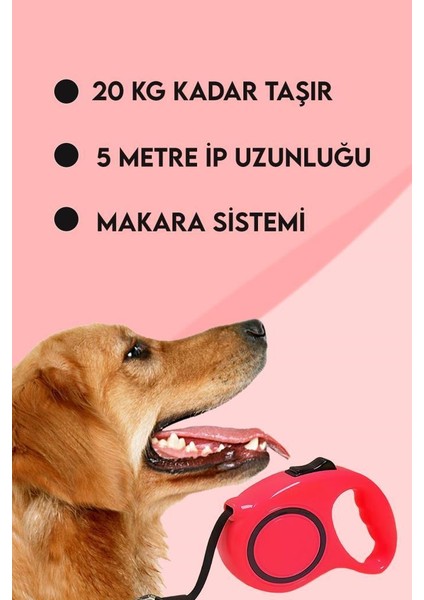 Makaralı Otomatik Köpek Tasması 5 Metre 1 Adet Kırmızı