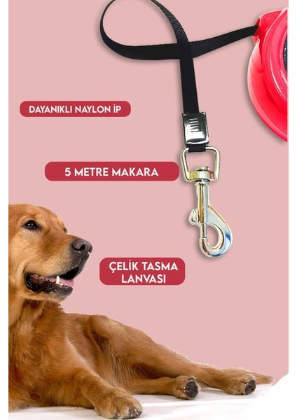 Makaralı Otomatik Köpek Tasması 5 Metre 1 Adet Kırmızı