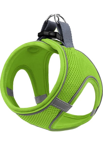 Air Mesh 2'li Bundle Set Kedi Köpek Göğüs Tasması + Köpek Gezdirme Tasması/kayışı