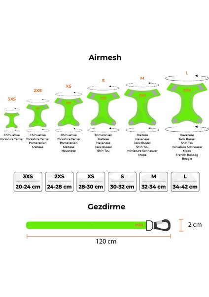 Air Mesh 2'li Bundle Set Kedi Köpek Göğüs Tasması + Köpek Gezdirme Tasması/kayışı