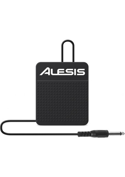 Alesıs Asp1mkıı Sustain Pedalı