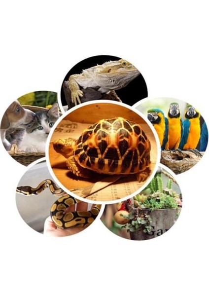 Kesoto 2 Adet 75 W Uva + Uvb Isı Yeminli Lamba Ampul Işık Isıtıcı Sürüngen Brooder Için (Yurt Dışından) fırsatları