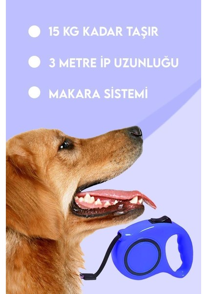 Makaralı Otomatik Köpek Tasması 3 Metre Mavi