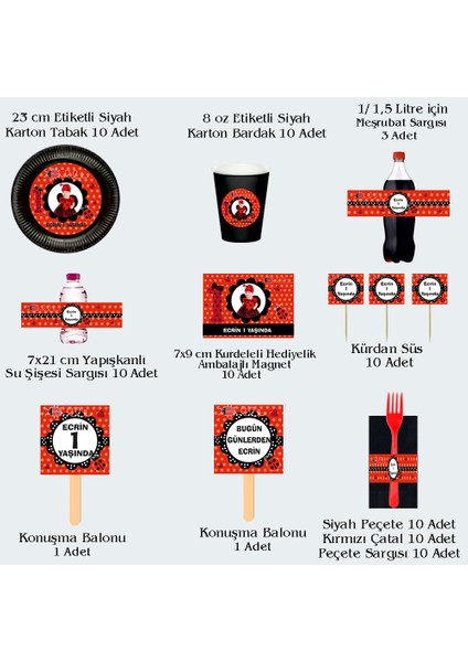 Uğur Böceği Temalı Kişiye Özel Doğum Günü Seti 10 KIŞILIK-131 Parça Dev Set