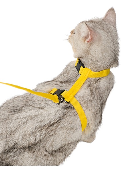 Kedi Tasması Kedi Gögüs Bel Ayarlanabilir Tasma Sarı