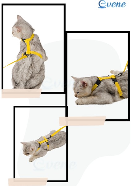 Kedi Tasması Kedi Gögüs Bel Ayarlanabilir Tasma Sarı fırsatları