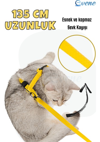 Kedi Tasması Kedi Gögüs Bel Ayarlanabilir Tasma Sarı indirimleri