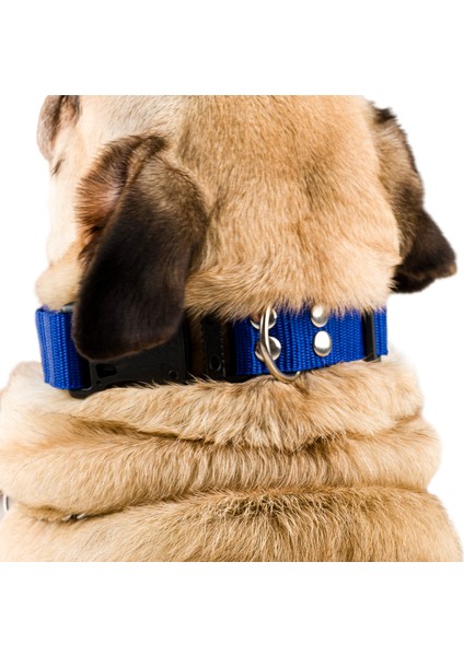 Köpek Tasması Köpek Boyun Ayarlanabilir Evcil Hayvan Tasma Mavi fiyatları