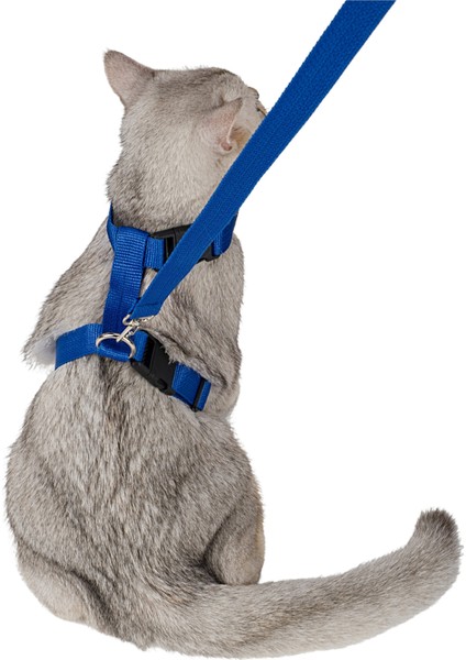 Kedi Tasması Kedi Gögüs Bel Ayarlanabilir Tasma Mavi