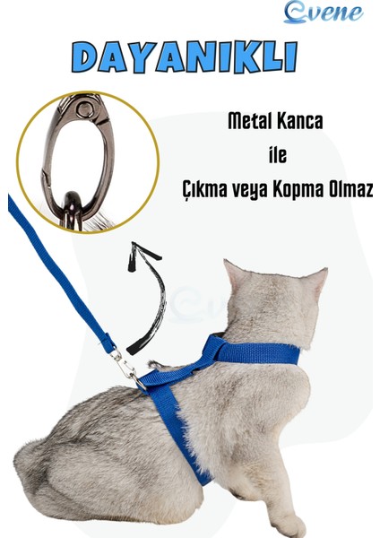Kedi Tasması Kedi Gögüs Bel Ayarlanabilir Tasma Mavi fiyatları