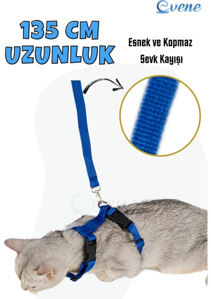 Kedi Tasması Kedi Gögüs Bel Ayarlanabilir Tasma Mavi indirimleri
