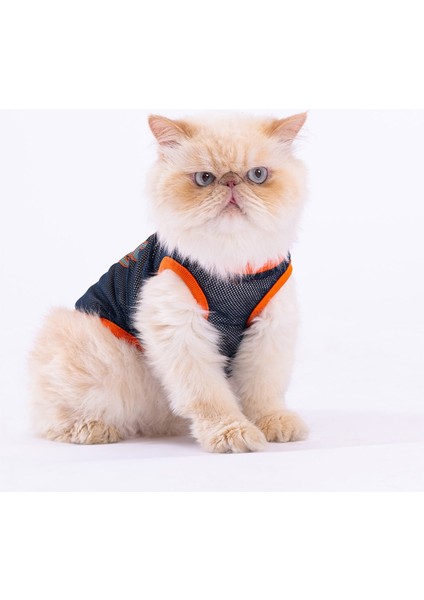 Cool Dude Mesh Kedi Köpek Tişörtü - Kedi Köpek Kıyafeti Large