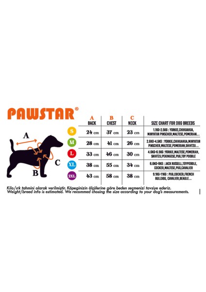 Cool Dude Mesh Kedi Köpek Tişörtü - Kedi Köpek Kıyafeti Large