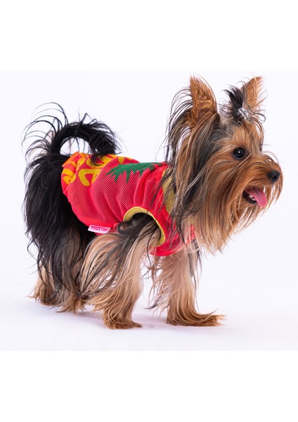 Mesh Kedi Köpek Tişörtü - Kedi Köpek Kıyafeti Small