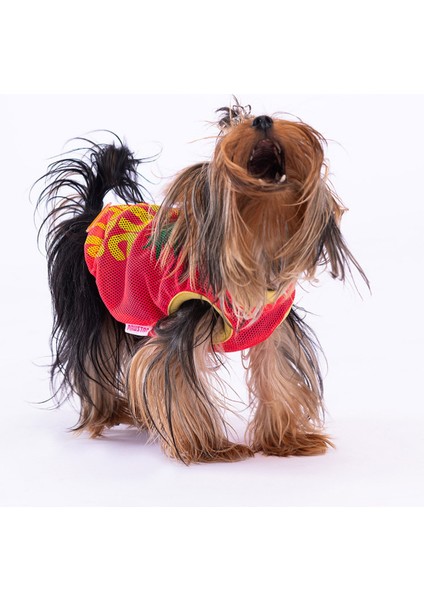 Mesh Kedi Köpek Tişörtü - Kedi Köpek Kıyafeti Small fiyatları