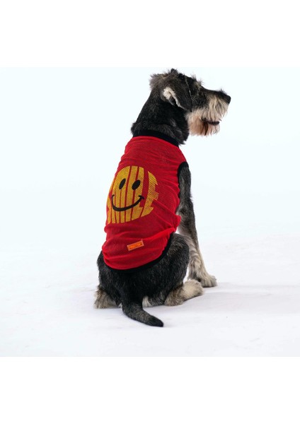 Smile Kedi Köpek Tişörtü - Kedi Köpek Kıyafeti Medium fiyatları