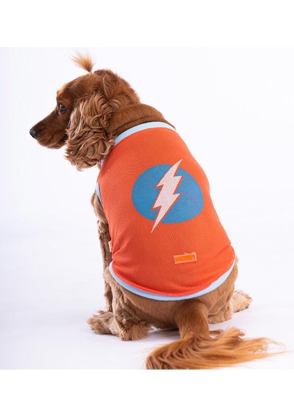 Flash Mesh Kedi Köpek Tişörtü - Kedi Köpek Kıyafeti Large