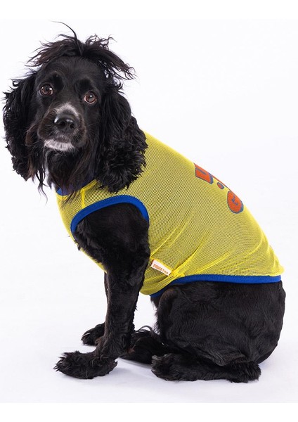 Life Mesh Kedi Köpek Tişörtü - Kedi Köpek Kıyafeti Small fırsatları