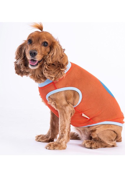 Flash Mesh Kedi Köpek Tişörtü - Kedi Köpek Kıyafeti Large fiyatları