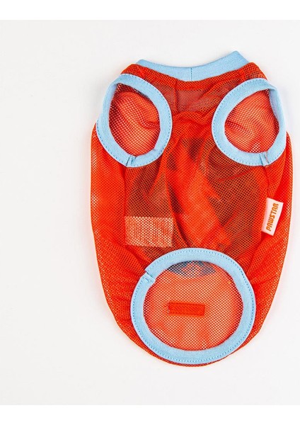 Flash Mesh Kedi Köpek Tişörtü - Kedi Köpek Kıyafeti Large fırsatları