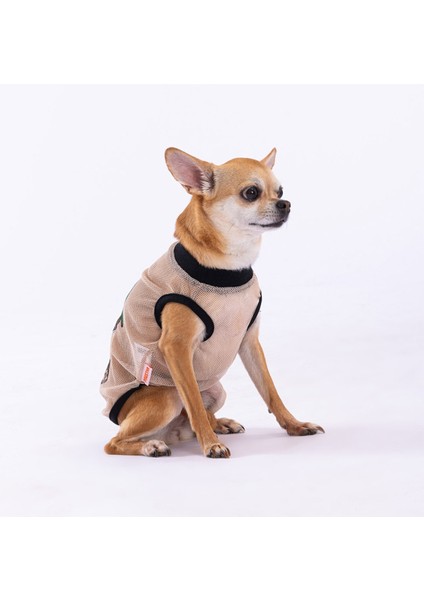 Bear Mesh Kedi Köpek Tişörtü - Kedi Köpek Kıyafeti Medium fiyatları