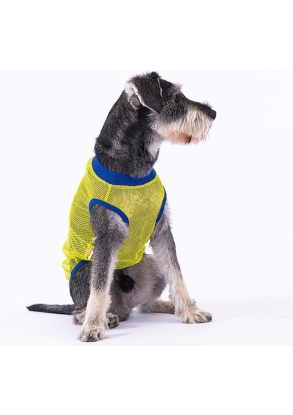 Süper Hero Kedi Köpek Tişörtü - Kedi Köpek Kıyafeti Large modelleri