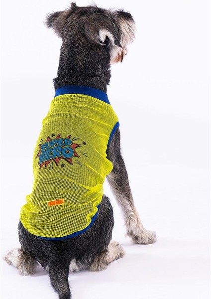 Süper Hero Kedi Köpek Tişörtü - Kedi Köpek Kıyafeti Large fırsatları