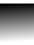 Canon G2411 Için Mürekkep 4X1000 ml 4
