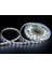 12 Volt 4040 İç Mekan Şerit LED Beyaz Işık YL40-4001 - 5 Metre Paket 2