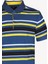 Erkek Lacivert Çizgili Polo Yaka Regular Fit Tshirts 2