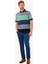 Erkek Lacivert Gri Çizgili Polo Yaka Regular Fit Tshirts 3
