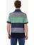 Erkek Lacivert Gri Çizgili Polo Yaka Regular Fit Tshirts 5