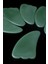 Gua Sha Aventurin Taşı - Yüz Cilt Masaj Taşı - MS0028 2