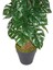 Güleç Yapay Çiçek Yapay Ağaç Deve Tabanı (Monstera) 150 cm 3