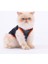 Cool Dude Mesh Kedi Köpek Tişörtü - Kedi Köpek Kıyafeti Large 2