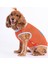 Flash Mesh Kedi Köpek Tişörtü - Kedi Köpek Kıyafeti Small 2