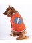 Flash Mesh Kedi Köpek Tişörtü - Kedi Köpek Kıyafeti Large 1