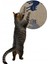 Desenli Çift Taraflı Kedi Tırmalama Paspası Yuvarlak Blue-Gray 36*36 cm 3