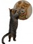 Desenli Çift Taraflı Kedi Tırmalama Paspası Yuvarlak Yellow 36*36 cm 2