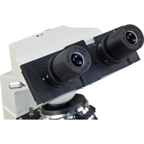 Archivi Di Chirurgia Plastica - Pagina 7 Di 24 - Surtex - Foto 8