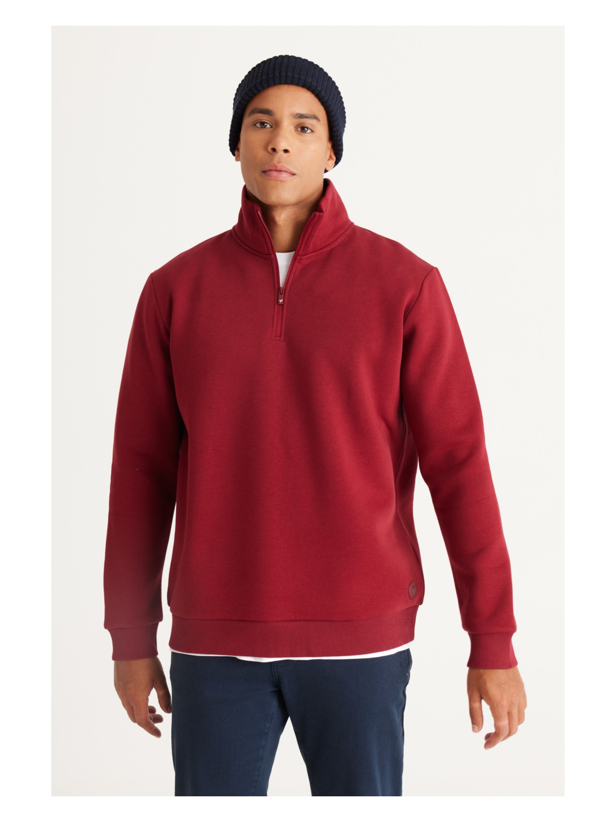 Altınyıldız Classics Erkek Bej Standart Fit Normal Kesim Dik Bato Yaka Pamuklu Sweatshirt - Görsel 6