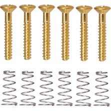 Homyl Gitar Yükseklik Vidaları Springs 3 Pcs (Yurt Dışından)