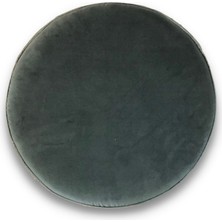WELL STORE Disc Puf-02